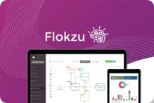 Video tutorial on Flokzu processes