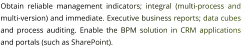 Obtain reliable management indicators; integral (multi-process and multi-version) and immediate. Executive business reports; data cubes and process auditing. Enable the BPM solution in CRM applications and portals (such as SharePoint).