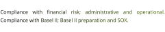 Compliance with financial risk; administrative and operational. Compliance with Basel II; Basel II preparation and SOX.