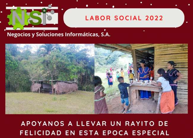 NSI social responsibility activity in 2022